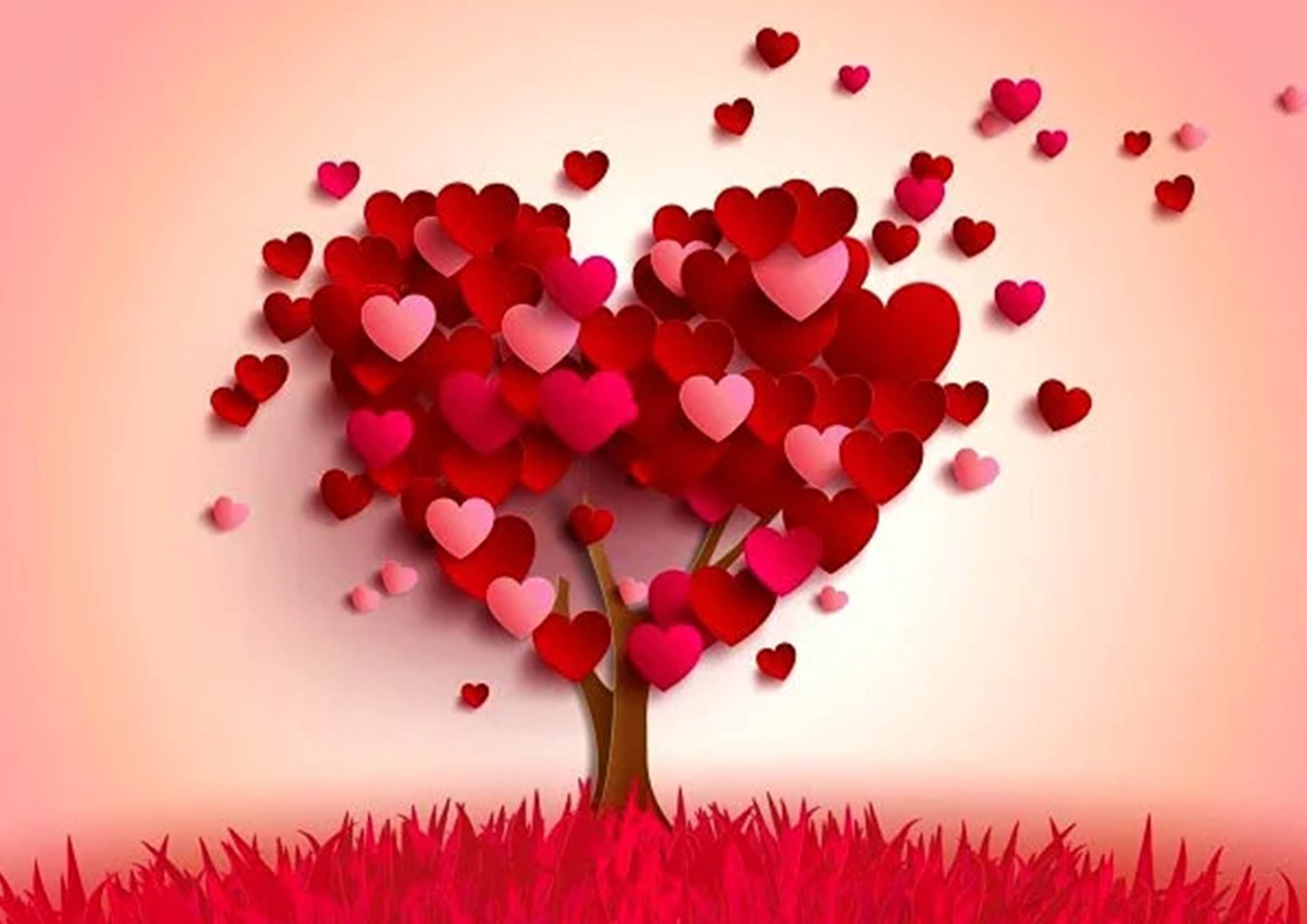 زندگی دو نفره؛ نسخه پیشرفته